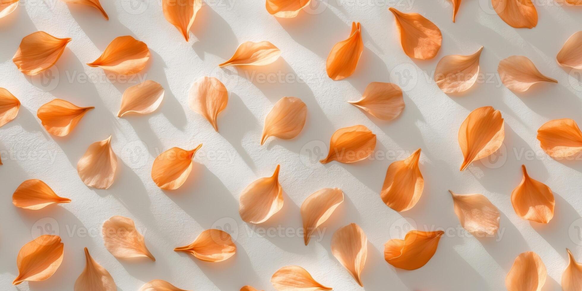 Orange petals on white background photo