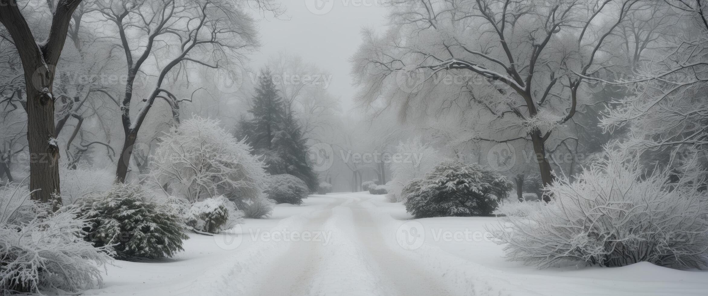 A snowy path in a park with trees and plants covered in white snow photo