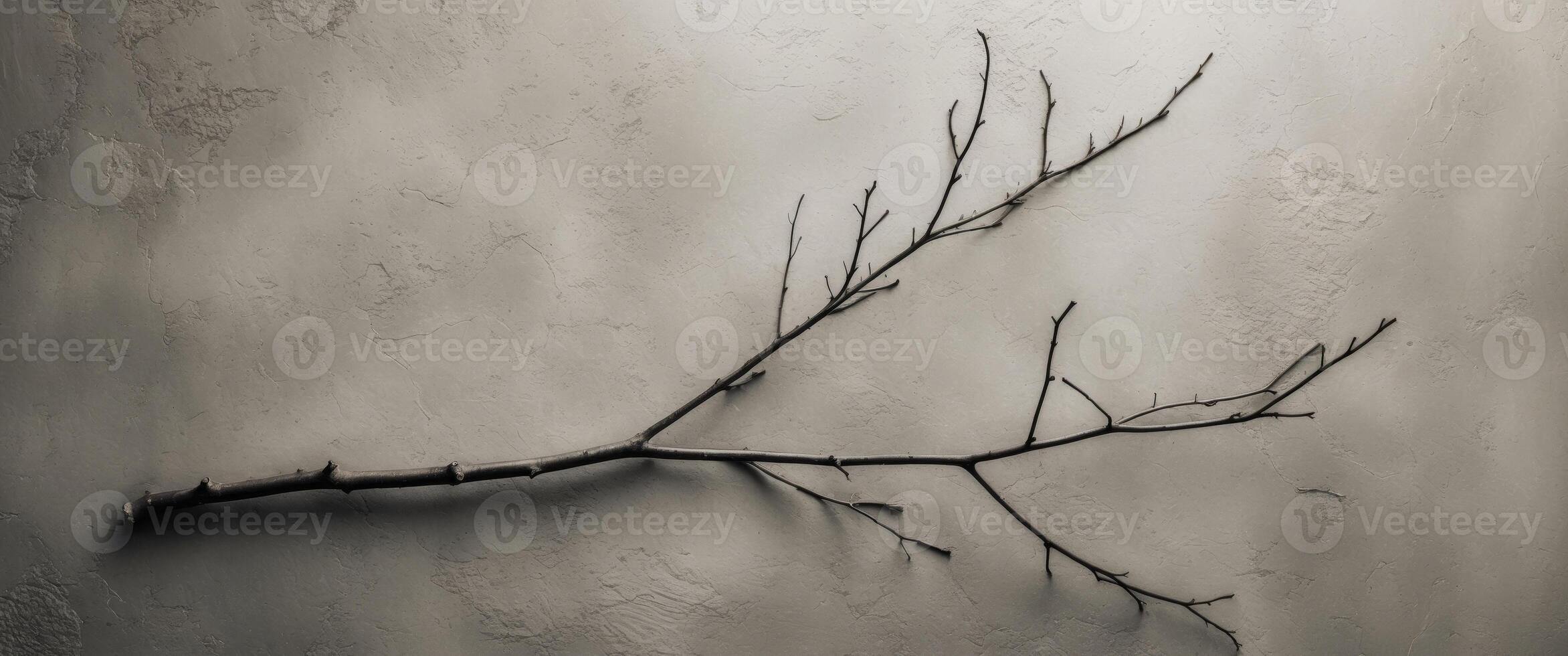 Bare branch lying on a textured gray beige surface photo