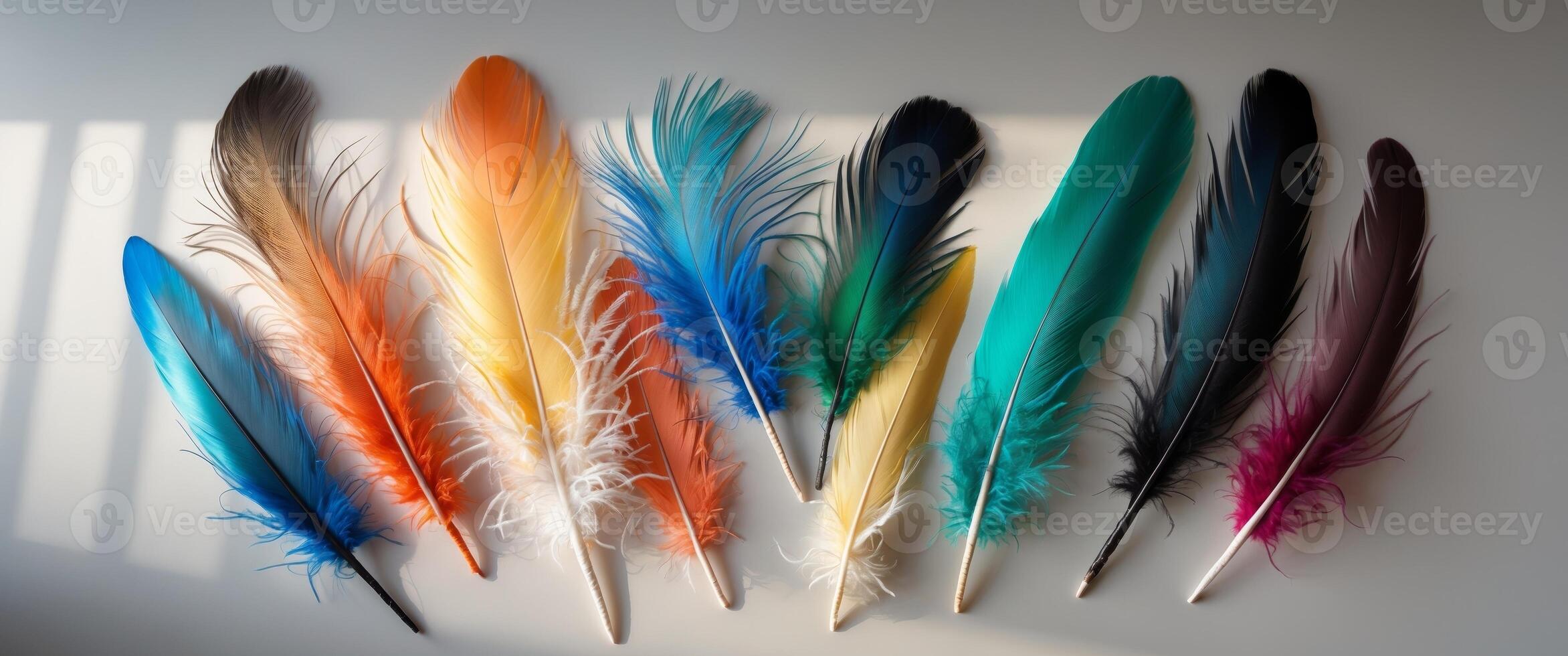 Colorful arrangement of diverse feathers in varied shades and textures photo
