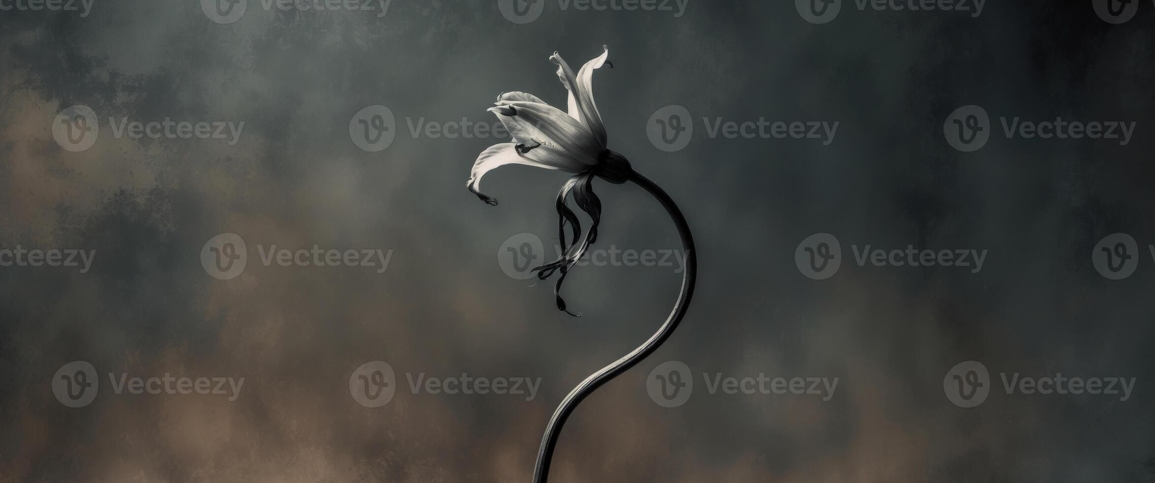 Curved stem flower with a drooping head in a grunge halftone style. photo