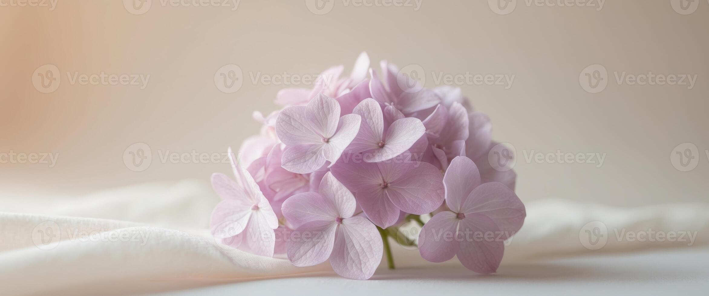 Pastel pink lavender hydrangea flower background photo