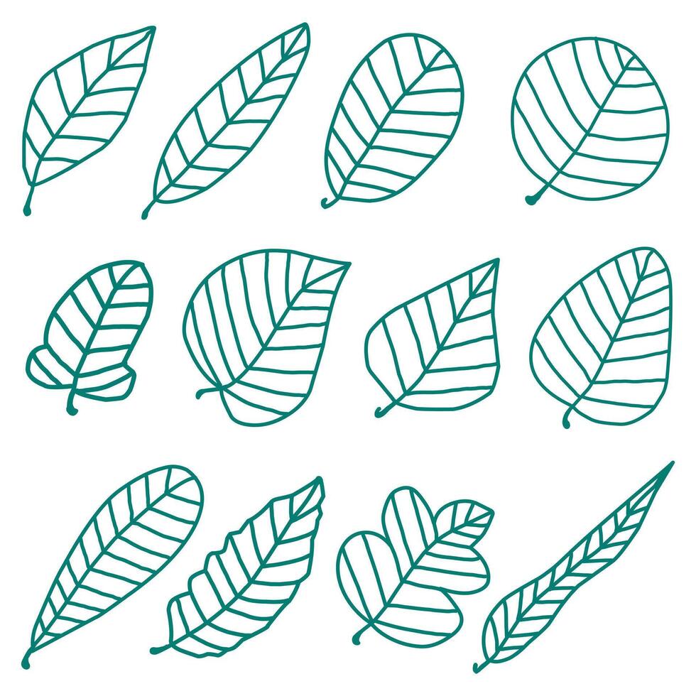 Collection of stylish hand drawn leaf illustration perfect for botanical-themed artwork and design applications. vector