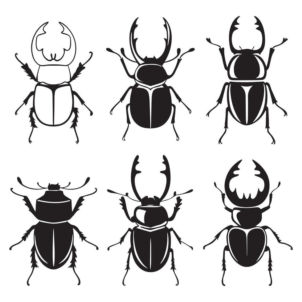 Silhouette Set of Rhinoceros Beetles for Design or Educational Use vector
