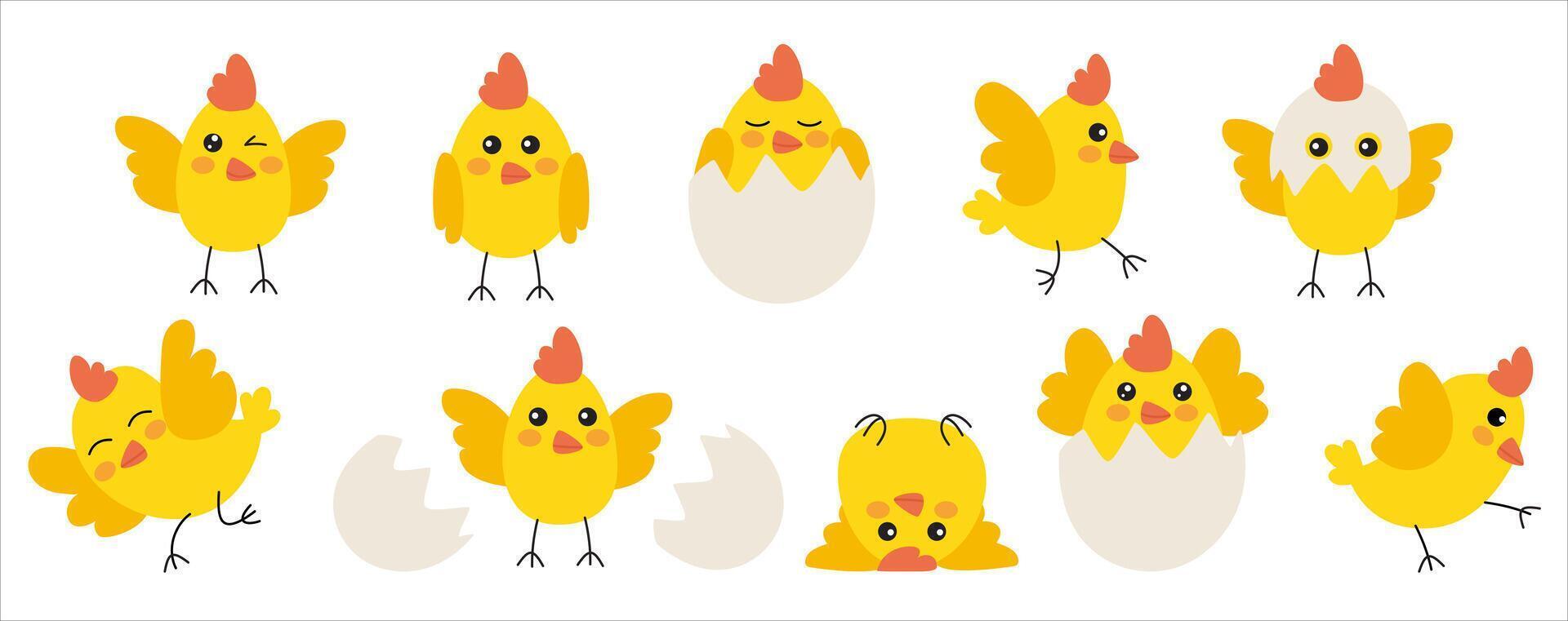 set of baby chicks vector