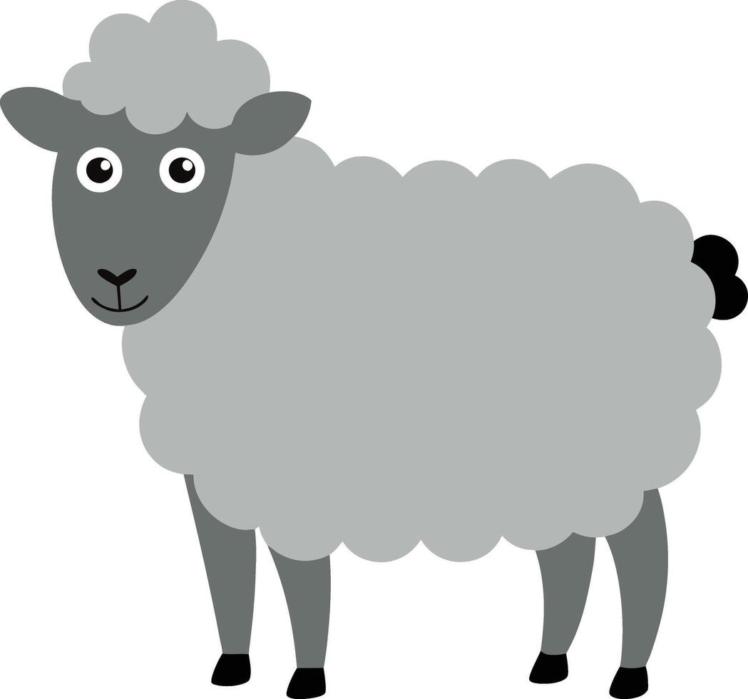 Drawing of a sheep vector