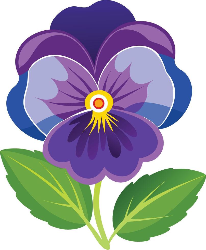 Pansy on white background vector