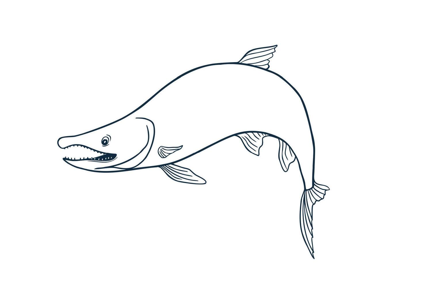 Single trout silhouette black white illustration. Salmon sketch hand drawn. Nerka sea fish painted ink linear art. Sockeye drawing in outline. Design element for package, label, sign board. vector