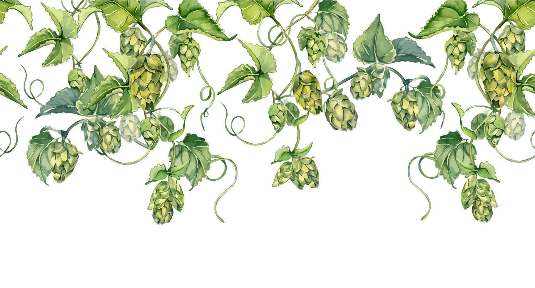 Watercolor seamless border of hop cones on vine and leaves isolated. Humulus plant on repeating banner hand drawn painted. Green hops in botanical sketch for nature product, rustic event, festival vector