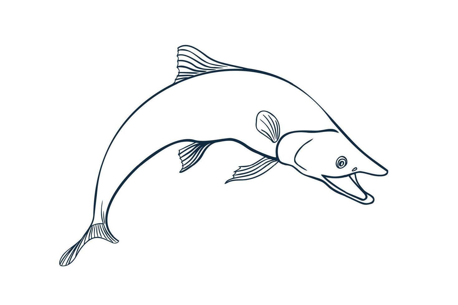 Single salmon black white illustration. Trout silhouette hand drawn. Nerka sea fish painted ink linear art. Sockeye drawing in outline monochrome. Design element for package, label, sign board. vector