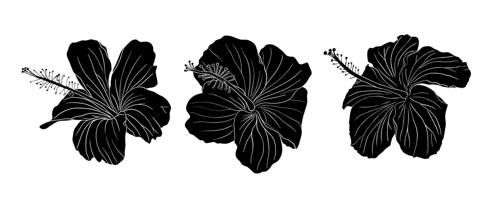 Hibiskus tropical flower silhouette set vector