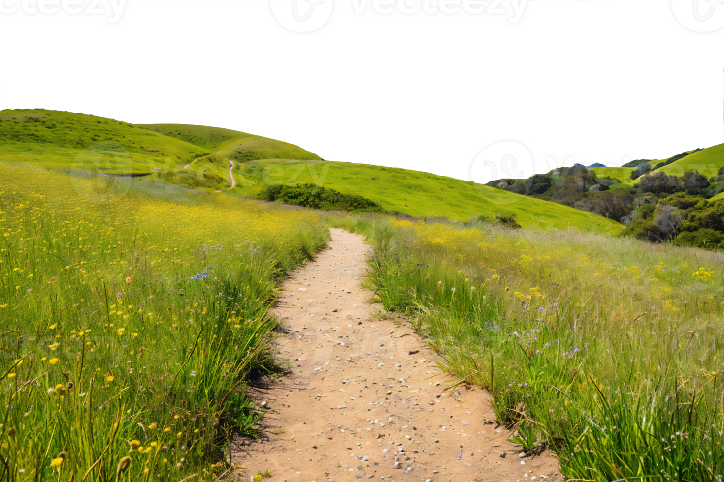 A dirt path in a field png