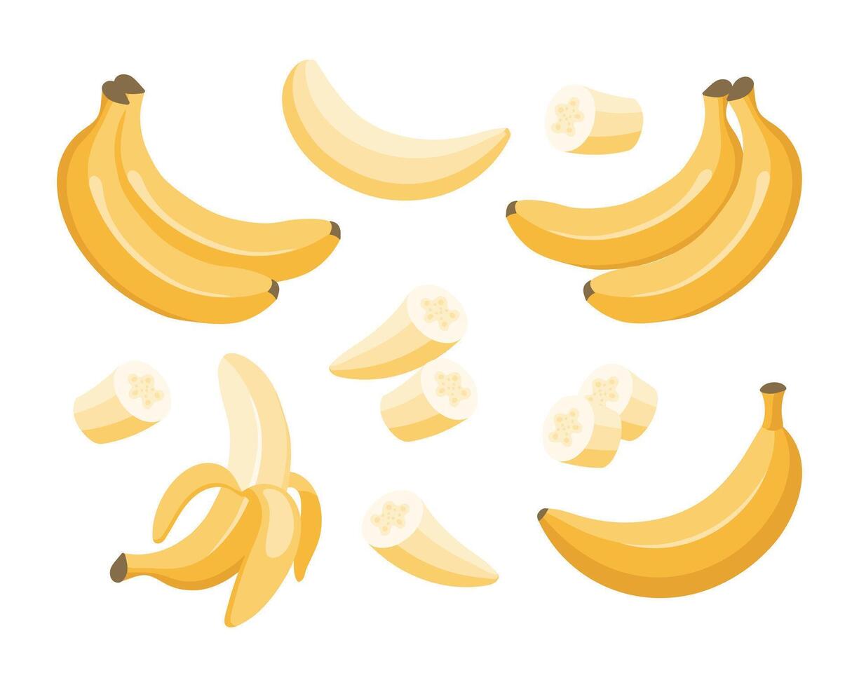 Banana set. Banana icons, half peeled and slice banana, bunch of bananas. Exotic sweet desserts.Tropical fruits, food illustration vector