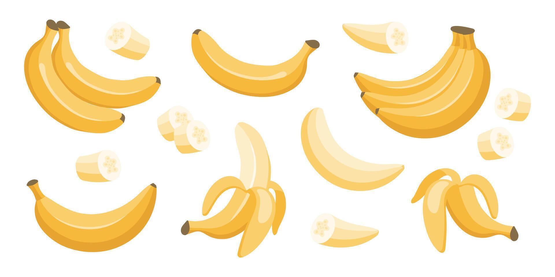 Banana set. Banana icons, half peeled and slice banana snack, bunch of bananas.Exotic sweet desserts.Tropical fruits illustration. vector