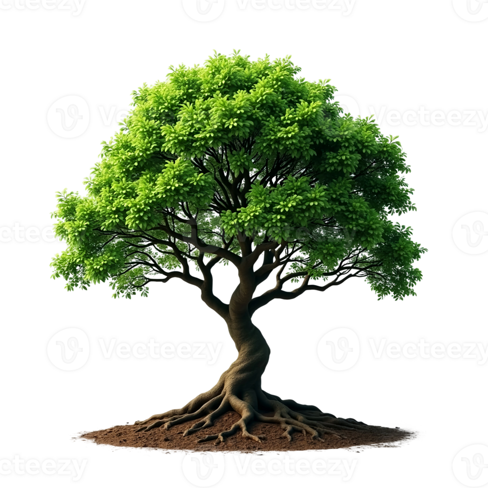 Tree Isolated Background Vibrant Nature Cutout. png
