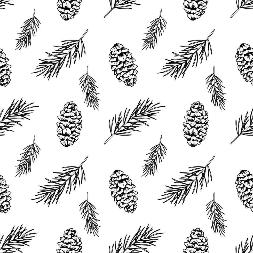 Seamless pattern of line art pine branch and cones. Ink graphic twig of conifers evergreen tree. Hand painted outline botanical illustration. Outline print for fabric, textile, wallpaper, packaging. vector
