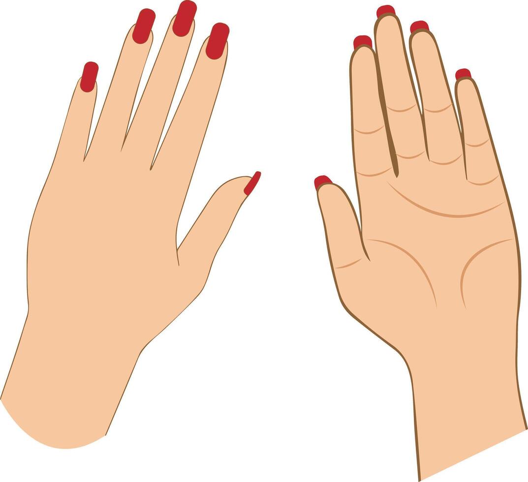 women two hands for mehendi design vector