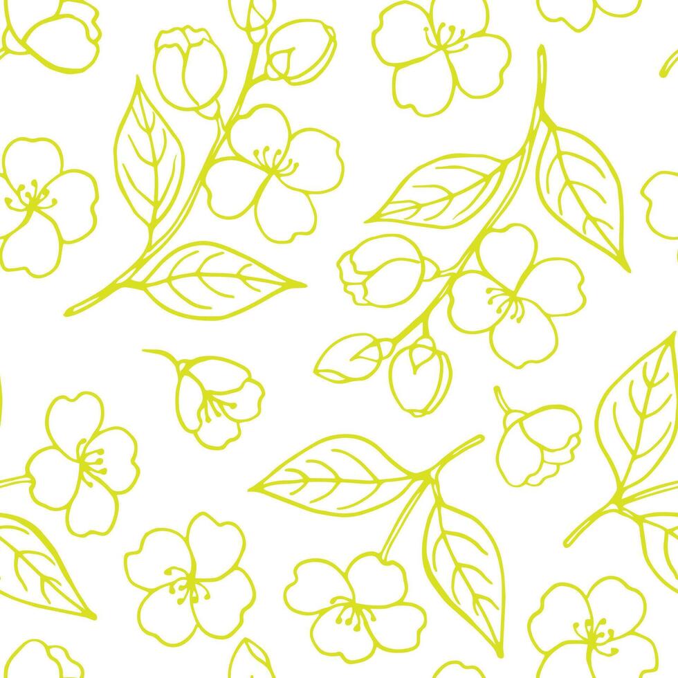 Seamless pattern with leaves and flowers of jasmine. Hand drawn illustration vector