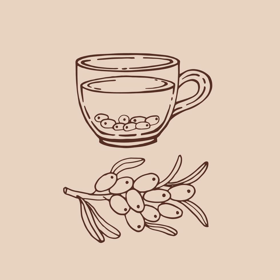 Cup of tea with sea buckthorn Hand drawn illustration in outline style. vector