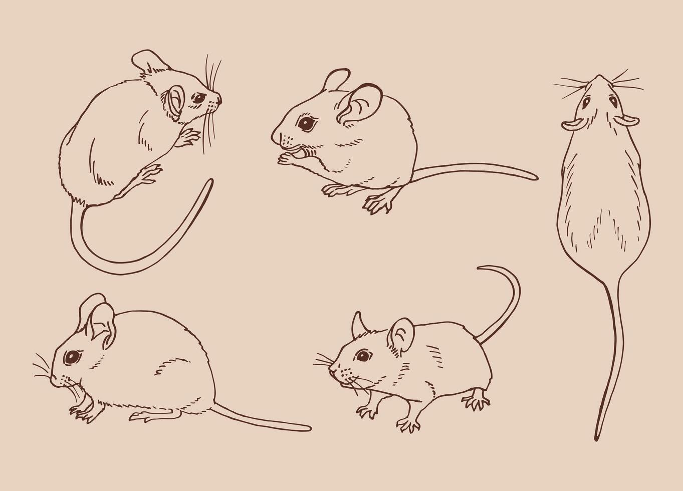 Set of mouse. Hand drawn illustration vector