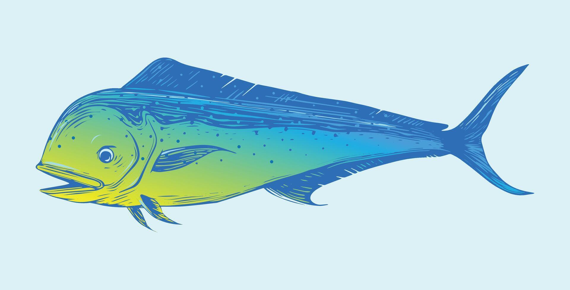 Mahi mahi fish illustration vector