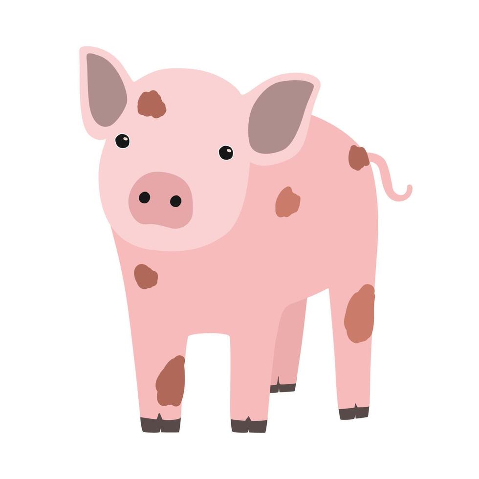 Pink pig or piglet isolated on white background. Portrait of funny cartoon barnyard animal, farm livestock or domestic pet. Colorful childish hand drawn illustration in modern trendy style. vector