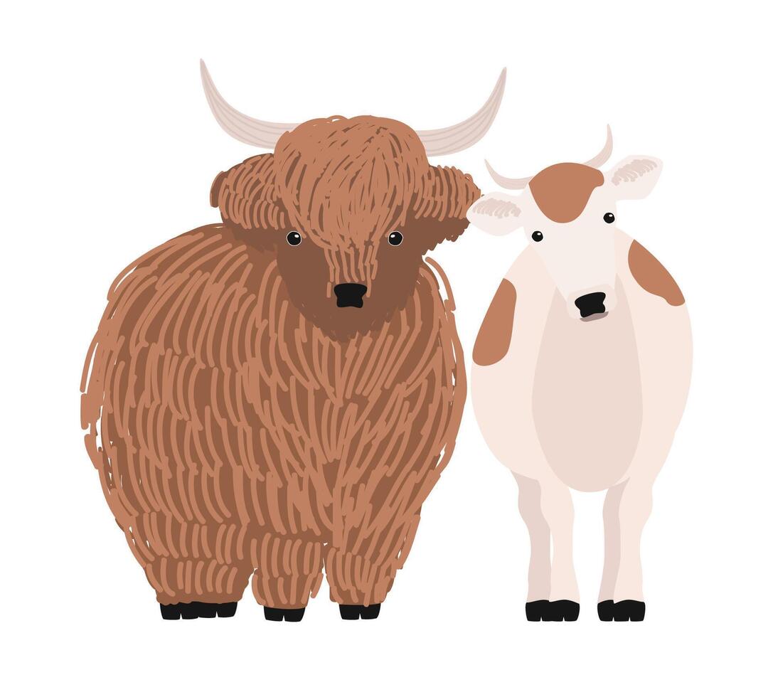 Pair of yak and cow isolated on white background. Portrait of pair of cute cartoon domestic cattle animals standing together, farm livestock. Colorful hand drawn illustration in modern style. vector
