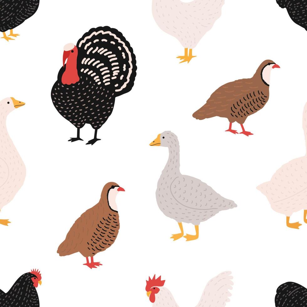 Seamless pattern with domestic birds or farm poultry on white background - rooster, chicken, goose, duck, quail, turkey. Cartoon hand drawn illustration for wrapping paper, fabric print. vector