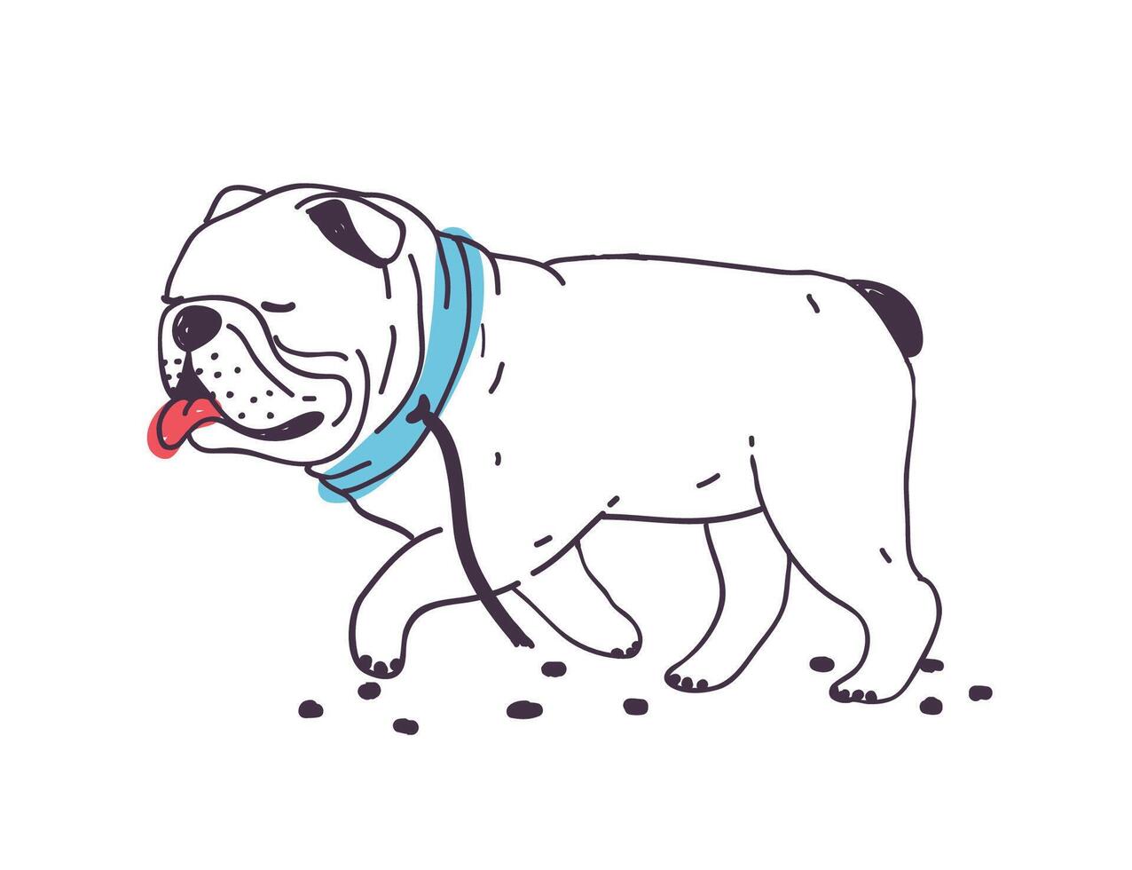 Funny escaped dog walking with torn leash connected to collar. Cute naughty bulldog isolated on white background. Bad behavior of domestic animal or pet. Colorful hand drawn illustration. vector