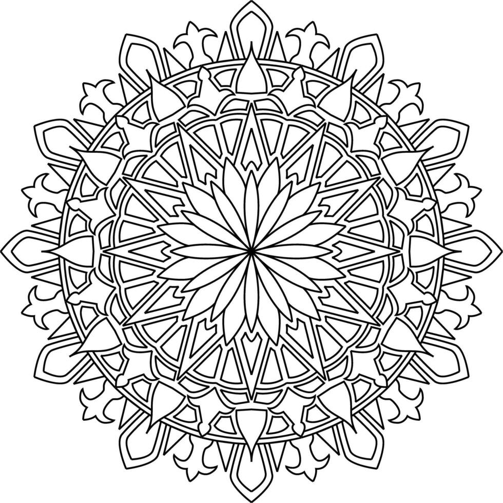 mandala adult coloring vector