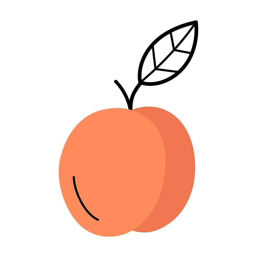 Whole ripe peach with twig and leaf. Hand drawn sketch icon of fruit. Isolated illustration in doodle line style. vector