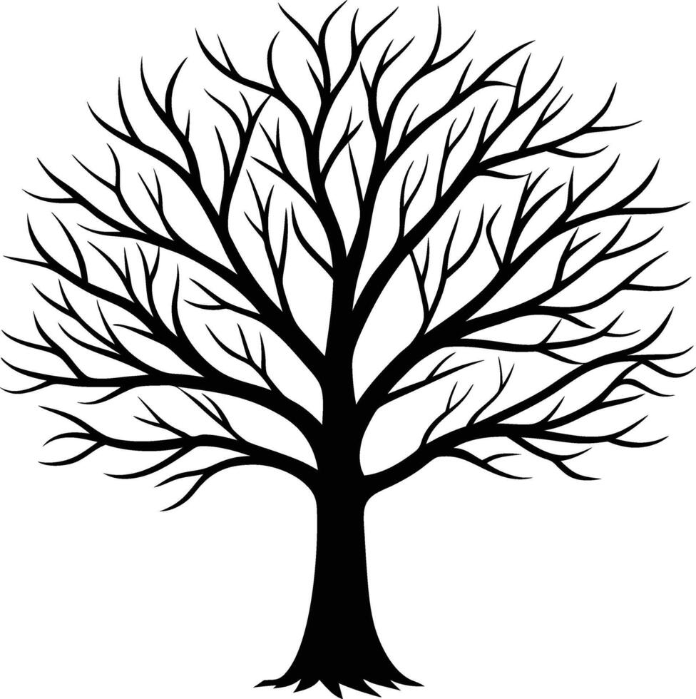 Bare Tree Silhouette Illustration Leafless Winter Design vector