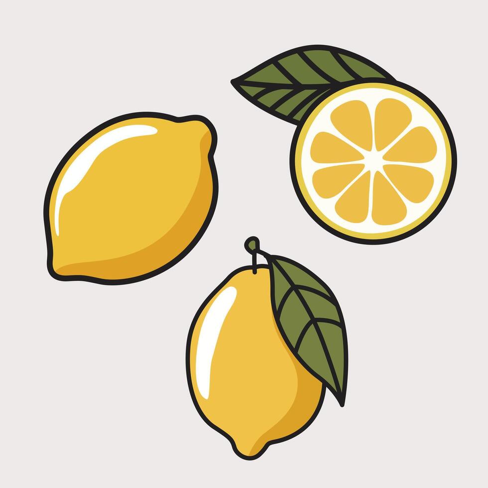 Minimalistic Lemon Set Fresh and Aesthetic Citrus Illustrations vector