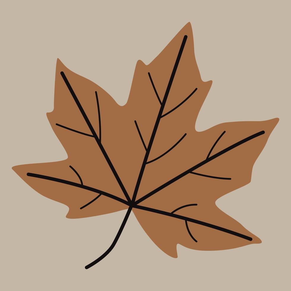 Illustration of Autumn Maple Leaf vector