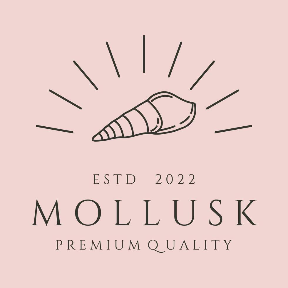 mollusk and sunburst line art logo symbol illustration design vector