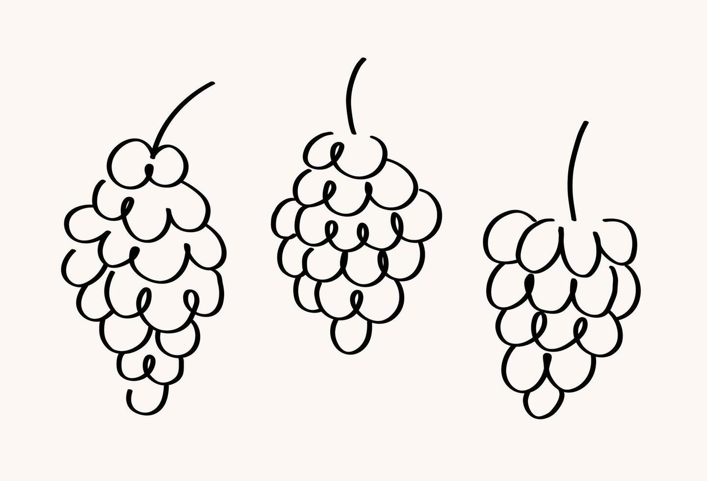 Set with sketched Grapes. Hand drawn illustration with bunch of Grapevine berries in line art style. Food, dry raisins, healthy food, desert, harvest fruit. For label, icon, card, logo, print vector