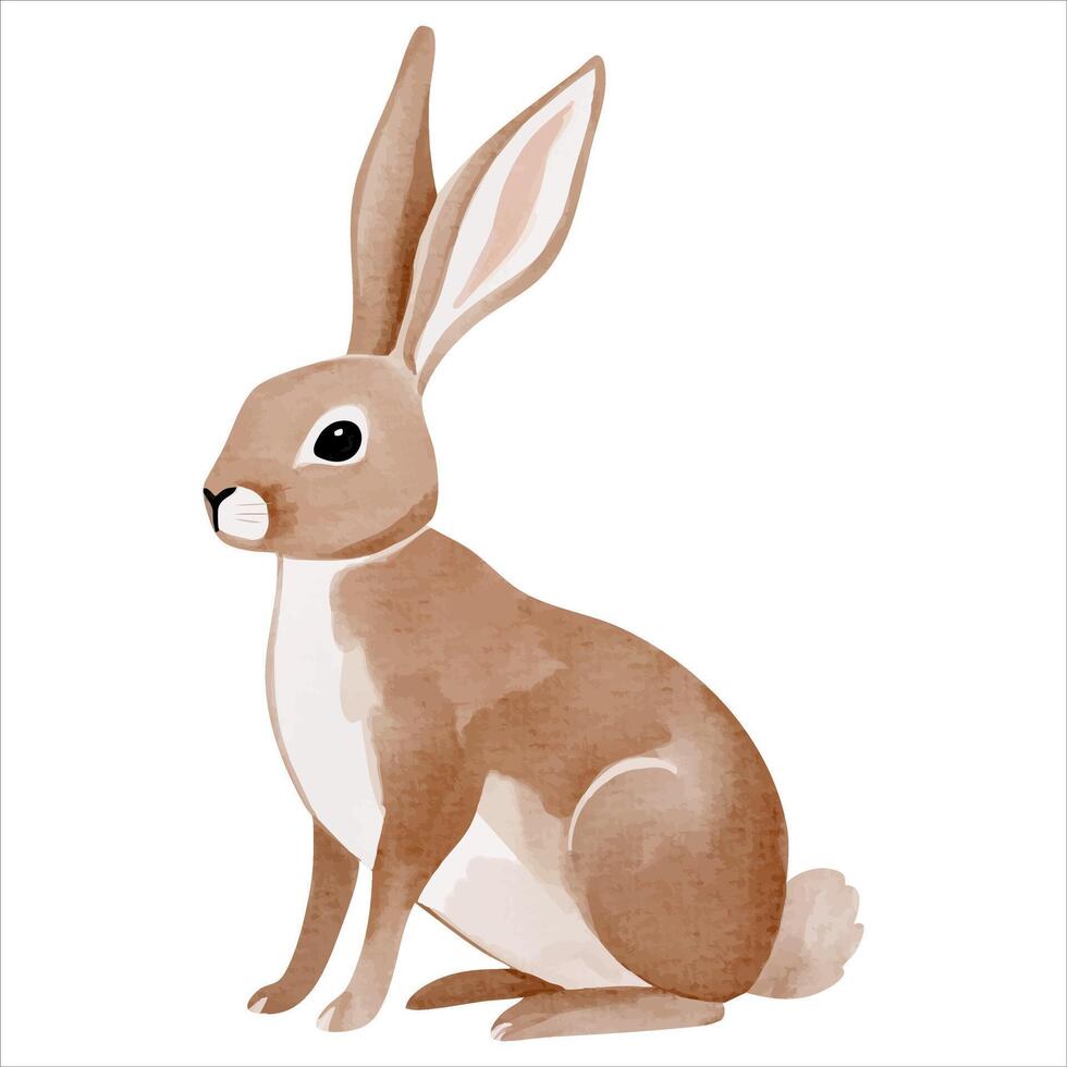 Cute little bunny in watercolor painting style. Woodland rabbit. Watercolor hare. vector