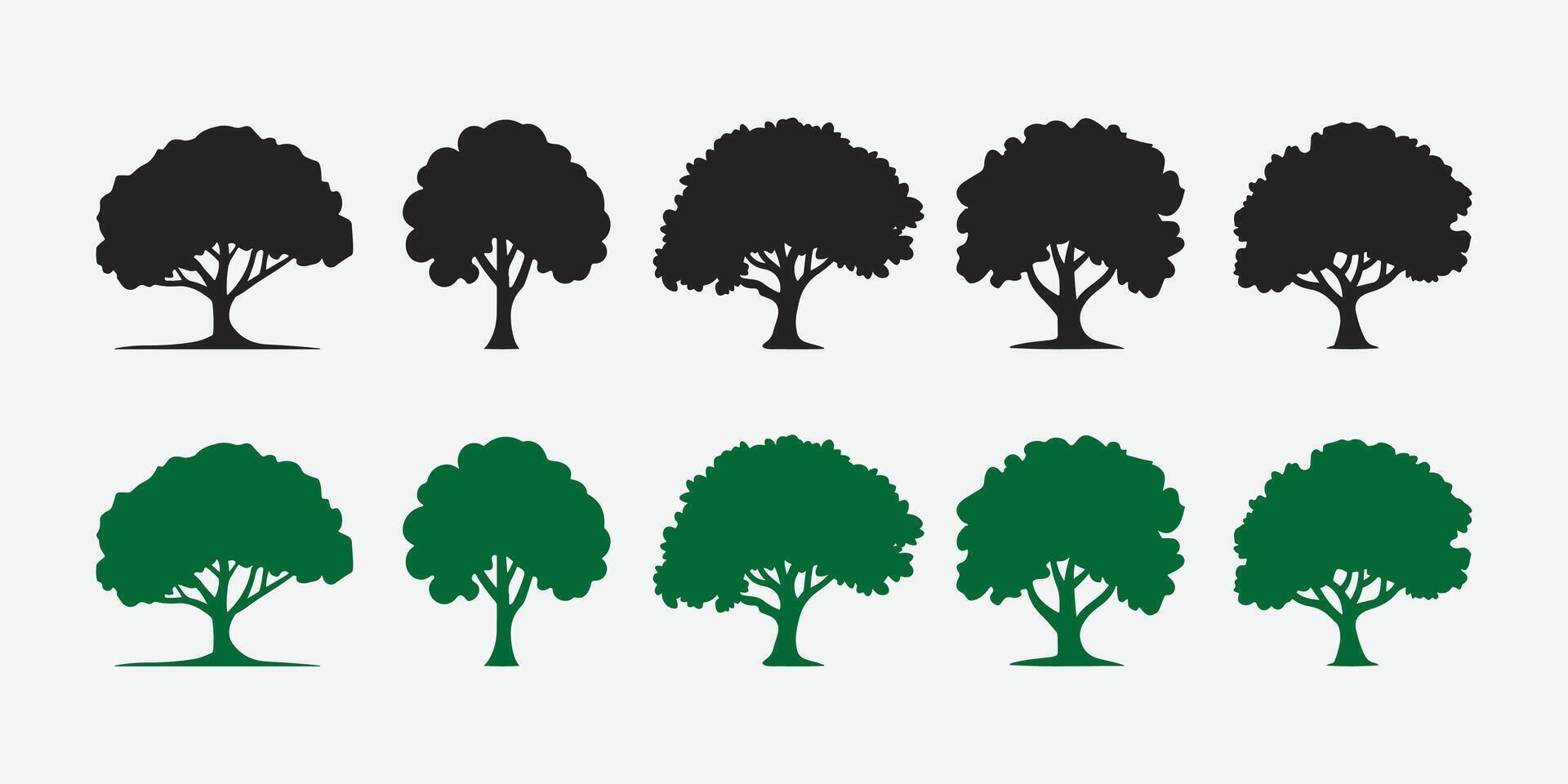 Tree Silhouette and Color Icons. Tree Silhouette Icon Set. Nature Tree Icon Collection. Botanical Tree Silhouette Set. vector