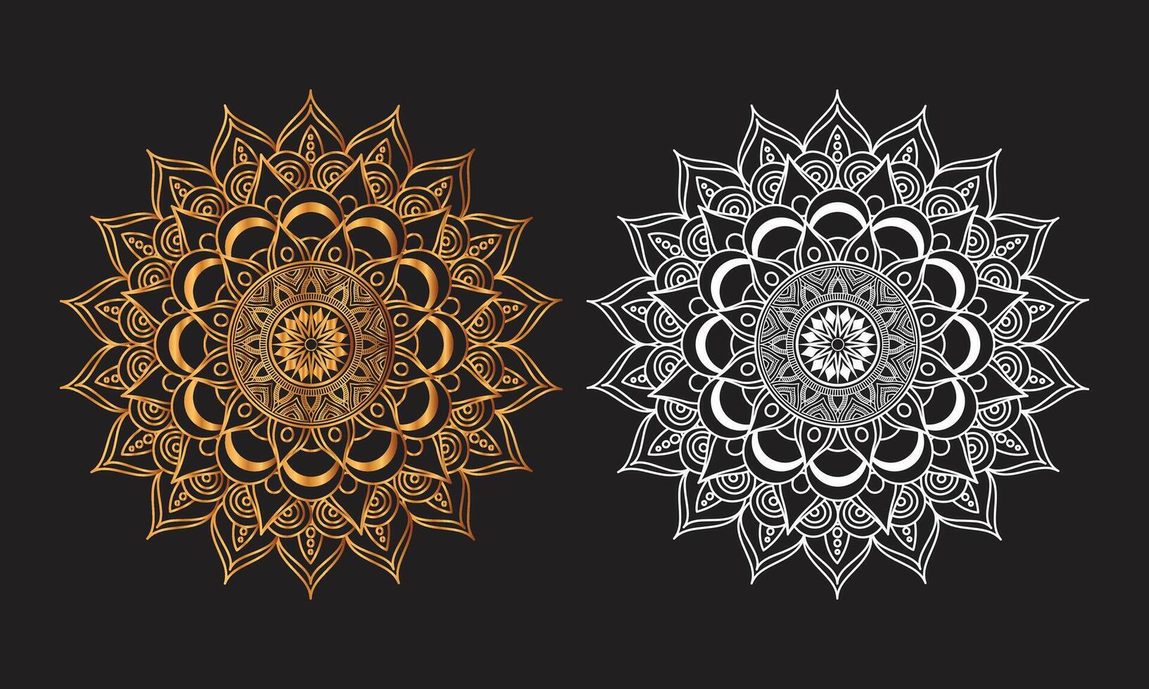 Two ornamental designs on a black background vector
