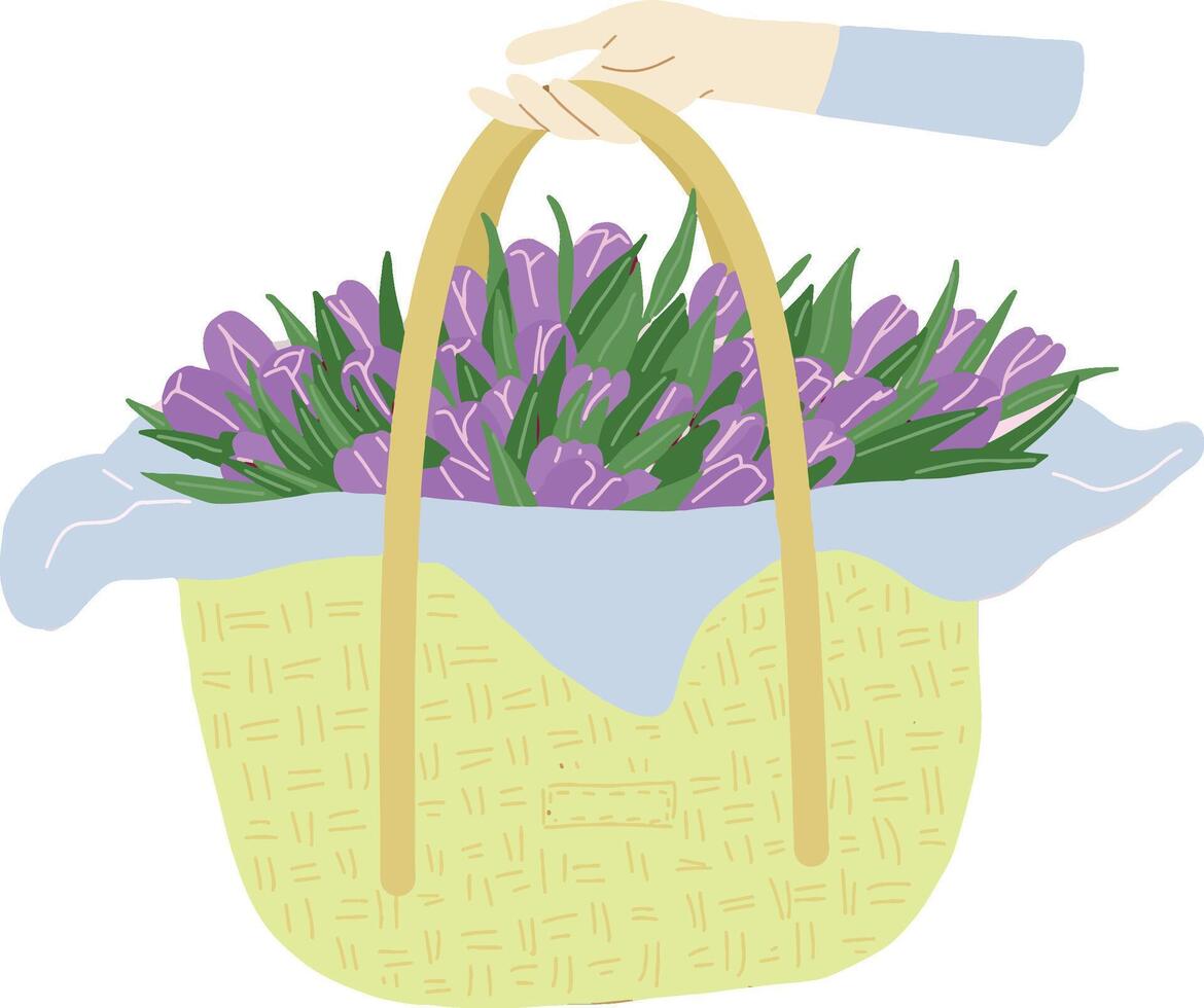 Hand drawn hand keeping big basket with lilac tulips. vector
