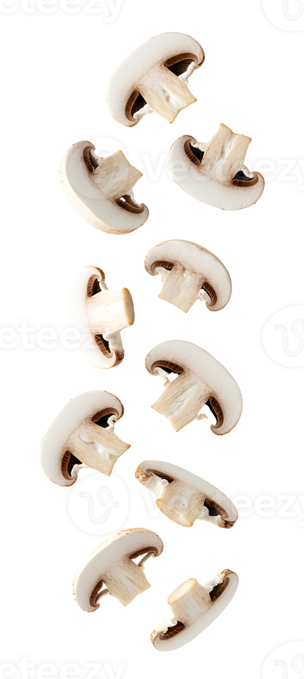 Mushroom pieces falling down . Sliced mushrooms dropping from above, perfect for organic food and culinary themes . Various mushroom slices flying isolated png