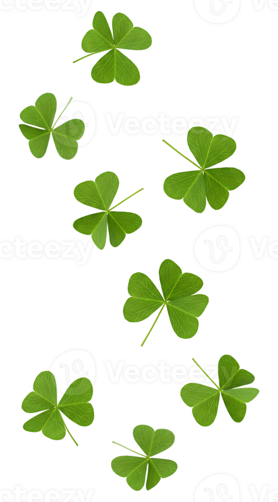 four leaf clover . green shamrocks falling down . Lucky green shamrocks falling down in mid-air. Fresh four-leaf clovers floating, symbolizing luck and good fortune for Saint Patrick's Day png