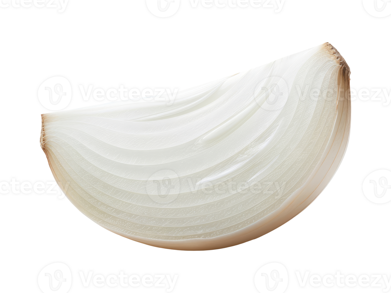 Piece of onion png