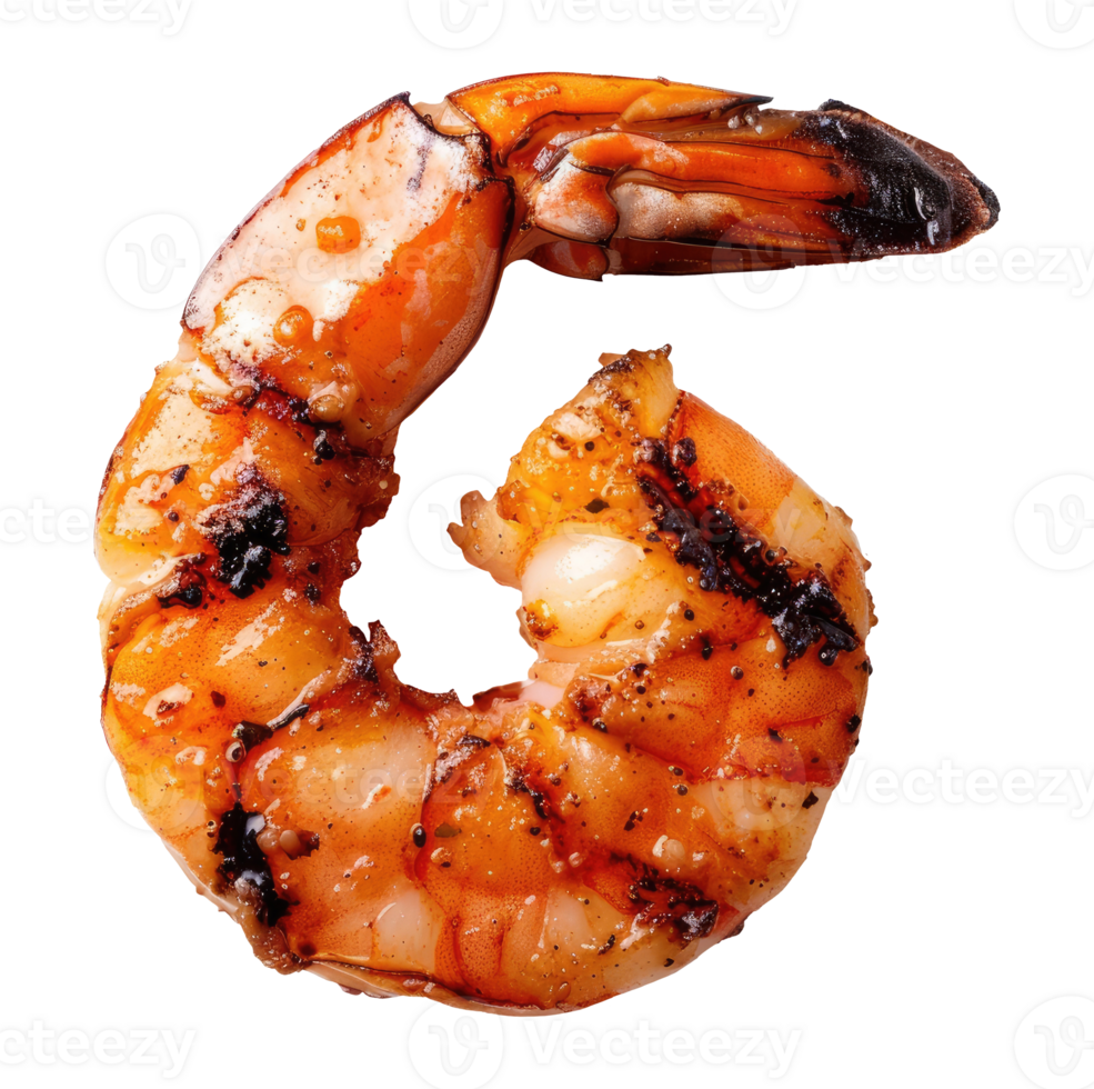 Grilled shrimp top view png