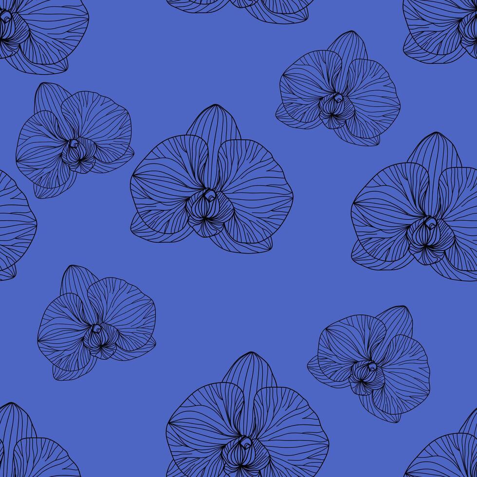 Seamless pattern of black line drawn orchid flowers on a blue background. For wallpaper, botany pattern, packaging design vector