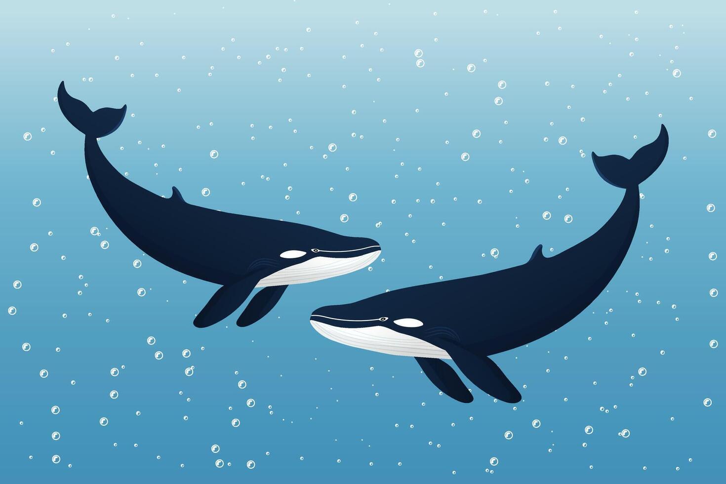 Two whales in the ocean flat illustration vector
