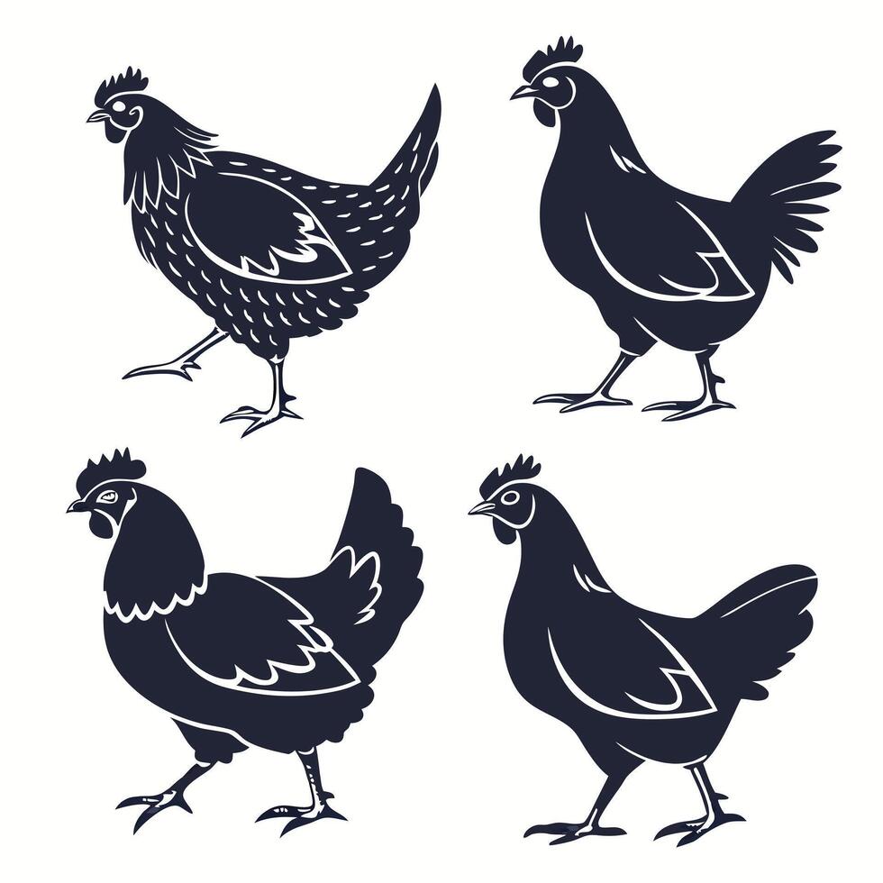 Set of Hen Silhouettes in Black on White Background vector