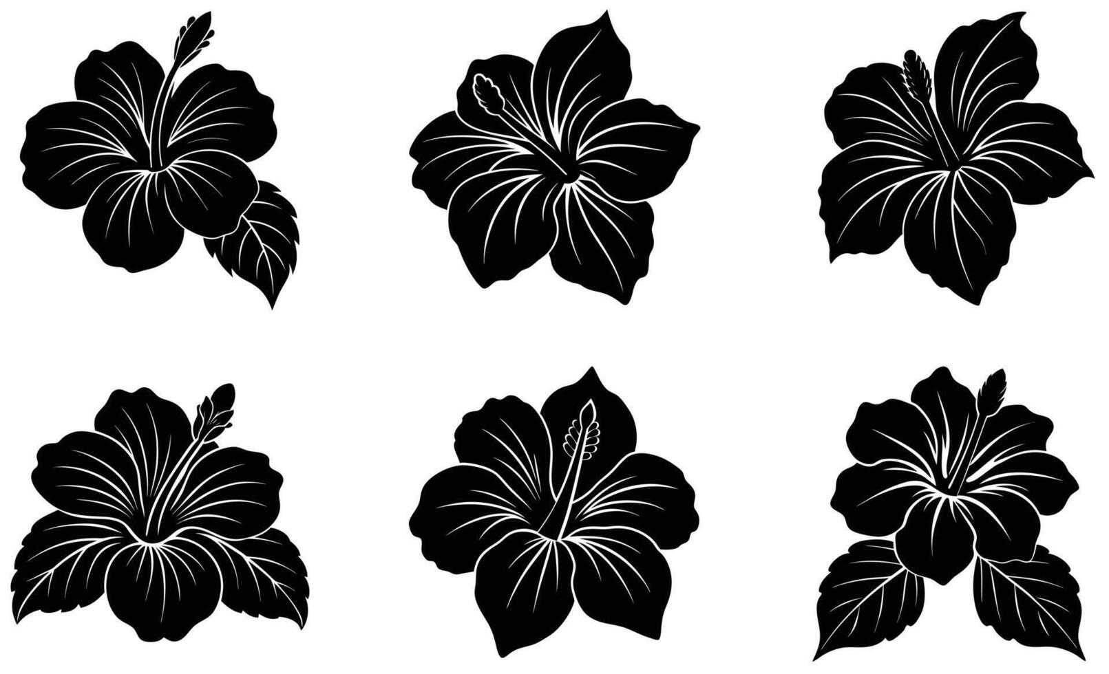 Set of Hibiscus Flowers silhouettes illustration on white background vector