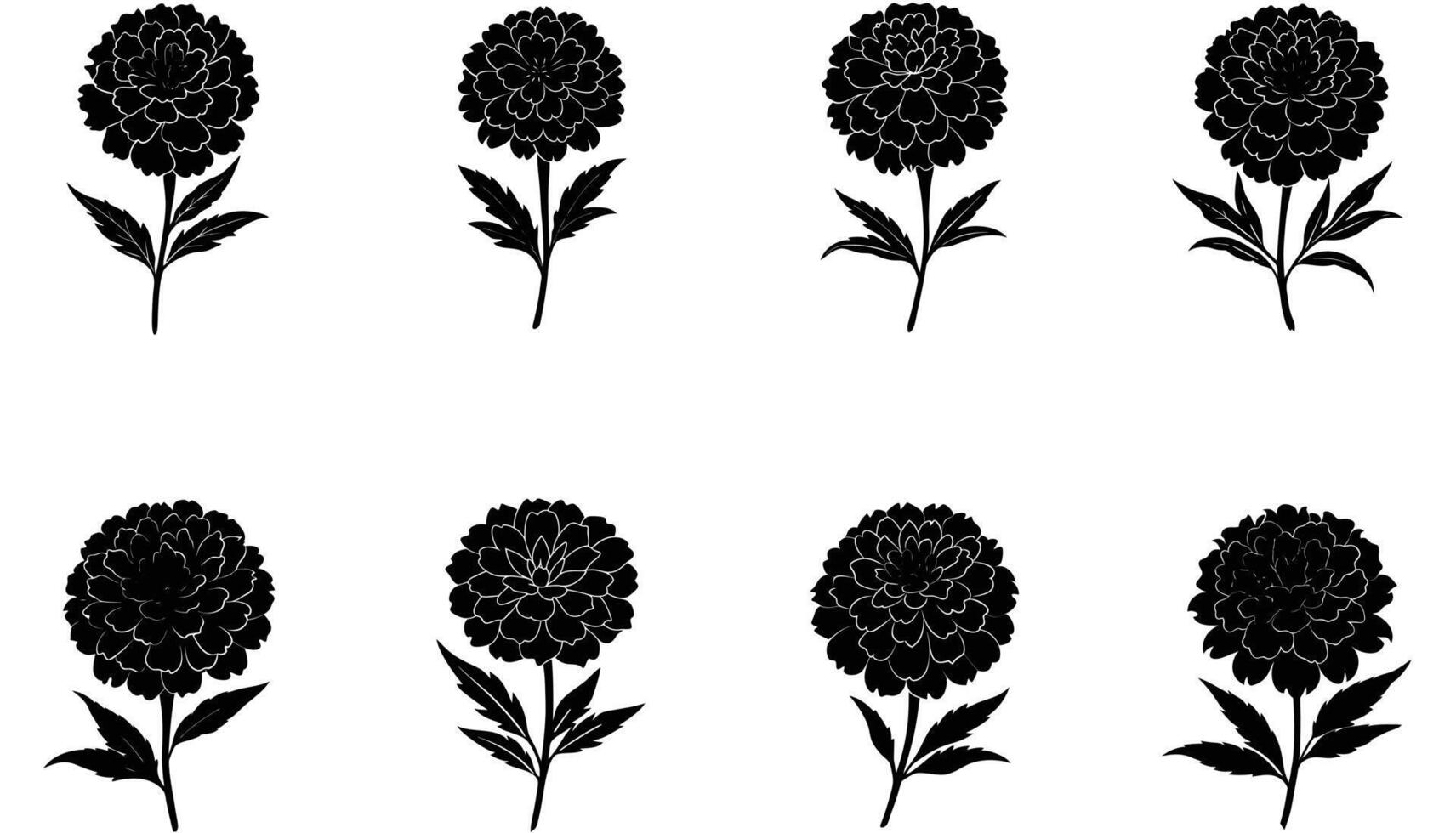 Set of marigold silhouettes illustration on white background vector