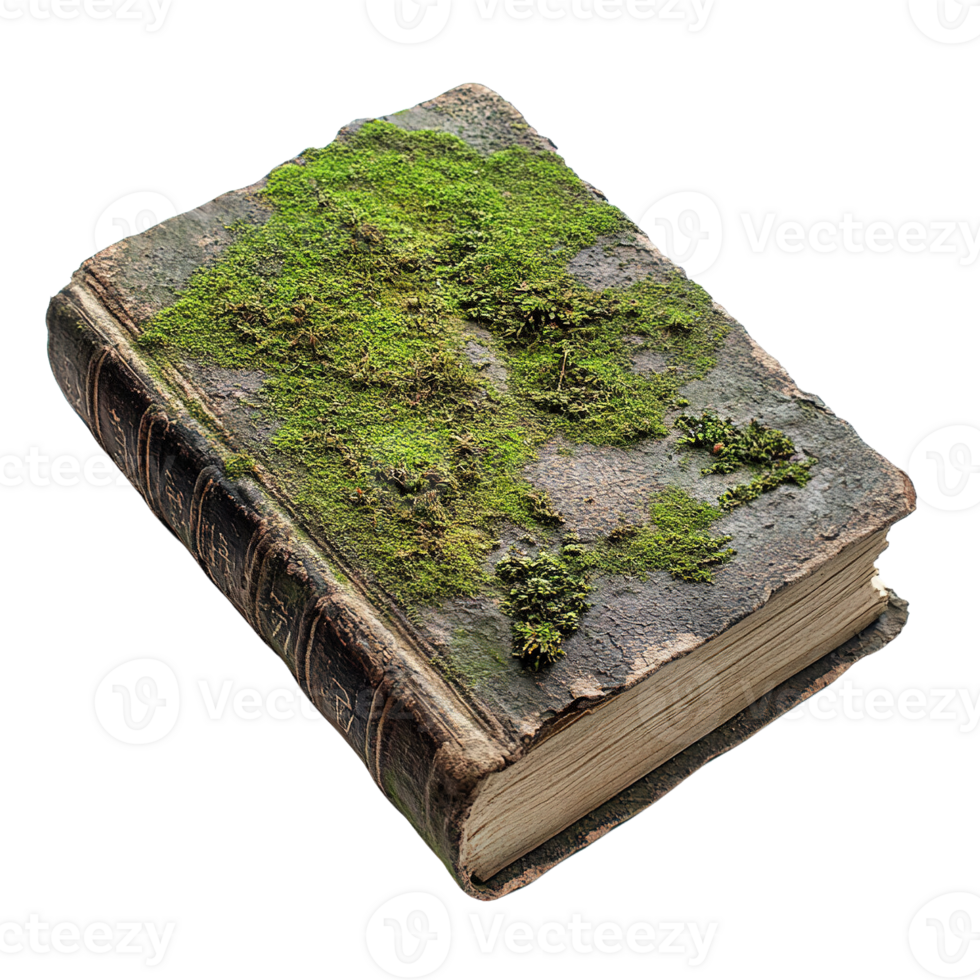 Rustic Moss Covered Vintage Book Isolated on Transparent Background png